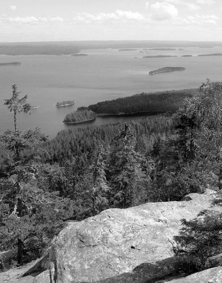 TIETOA SIJOITTAJALLE MERKINTÄHINTA Osakkeiden merkintähinta on 5,40 osakkeelta Yleisöannissa ja Instituutioannissa.