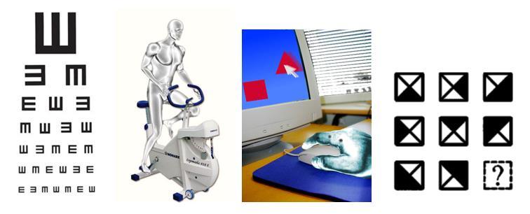 Humanoidirobottien laadunvarmistus Matti Vuori www.