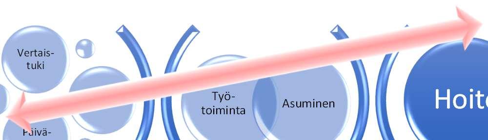 asiakassuunnitelmassa Avopalvelut