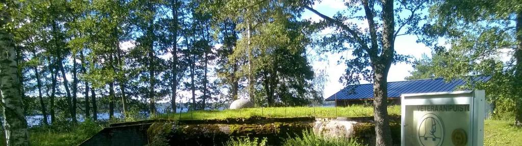 metsittynyt