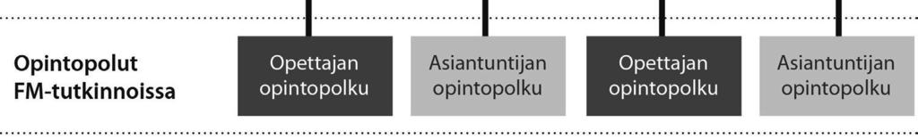 Koulutuksessa painottuu myös yhteistyö muiden kielen ja kulttuurintutkimuksen alojen kanssa. Opiskelija tutustuu humanistisia aloja yhdistäviin teemoihin ja lähestymistapoihin.