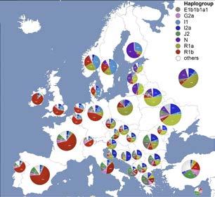 Y-DNA avuksi myös Elers-suvun juurten etsimiseen DNA-tutkimus on viimeisen muutaman vuoden aikana noussut valtavirtaan.