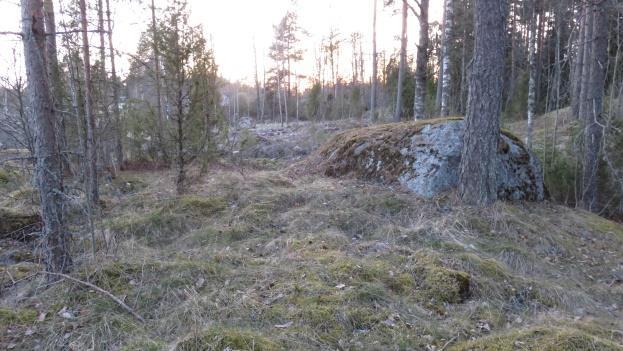 T201802 5 Kuvat 6 ja 7. Kuvissa näkyy tutkittu metsäinen aukko sekä Ihoden kylätien ja Tarvomäentien alueita, joissa tehtiin havaintoja lepakoista.
