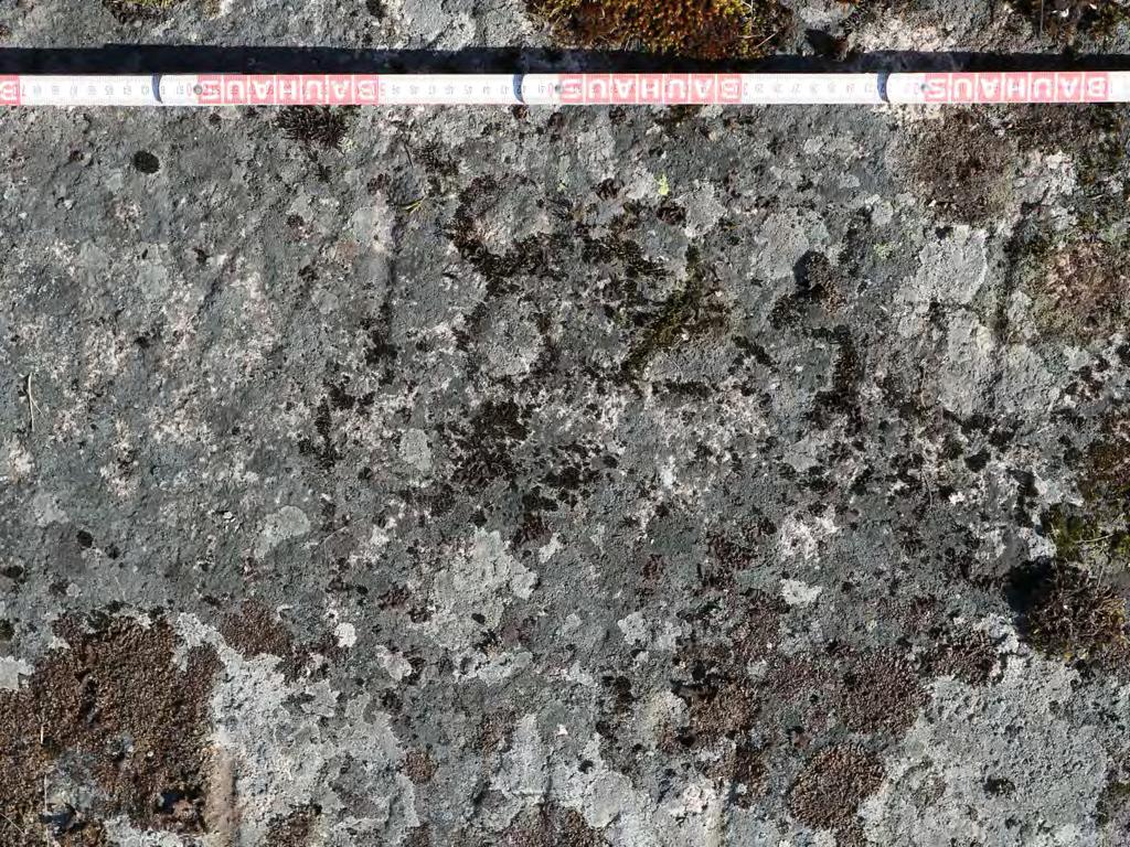 Kuva 5 (ARB2017:2:18): Kaurilan