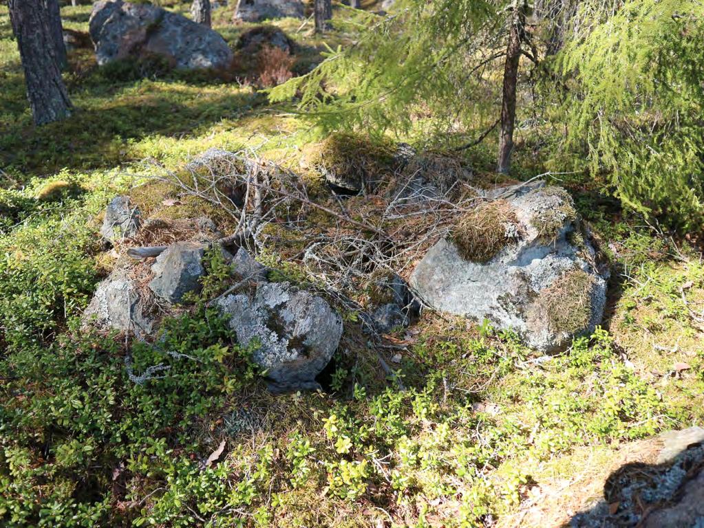 5.3.4. Saunahangas 2 Tyyppi: kivirakenteet, uunit? Koordinaatit, inventointi 2017 (ETRS 35): P:6770928; I:207385 Luetteloidut kuvat: ARB2017:2:66 68 Tarkastuspäivä: 11.5.2017 Kuvaus Pohjakaavaltaan pyöreähkö, noin 1,4 metriä halkaisijaltaan oleva kivirakenne metsäisessä kalliomaastossa.