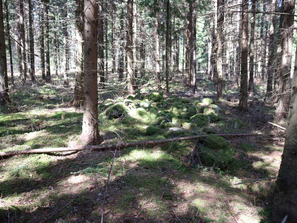 Kuva 10 (ARB2017:2:43): Rajaniittu alue 1 röykkiö 3. S. Röykkiö 12, 6 x 8 metriä, korkeus noin 1,2 metriä. Pienen kalliokohouman päälle ja reunoihin heitelty hajanainen röykkiö.