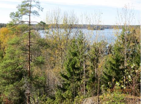 erilaisille tontinluovutustilanteille. Jako tonttien myymiseen ja vuokraamiseen ei vaikuta tonttien luovutuksesta saataviin kokonaistuloihin, mutta tulot ajoittuvat eri tavoin.