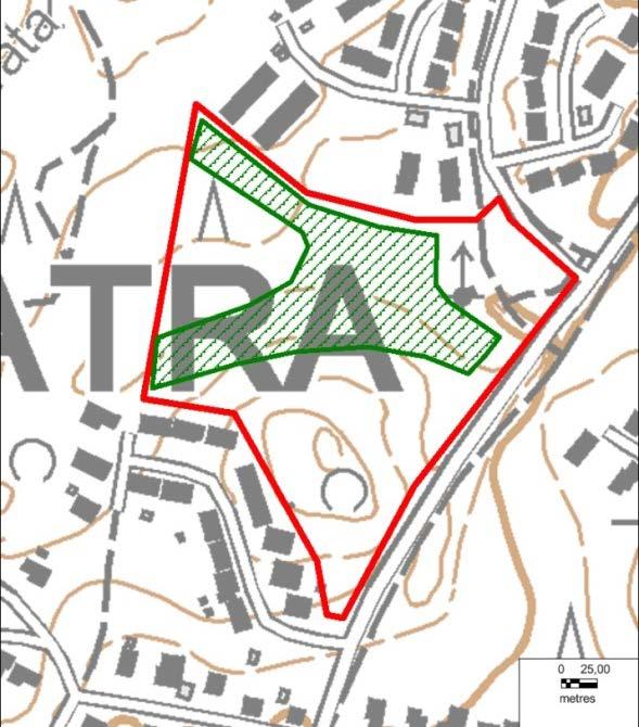 Keskiosan metsäalue todettiin kuitenkin huomionarvoiseksi järeän puuston, lahopuuston ja rehevän kasvillisuuden takia. Lisäksi sillä todettiin olevan merkitystä virkistyskäytölle.
