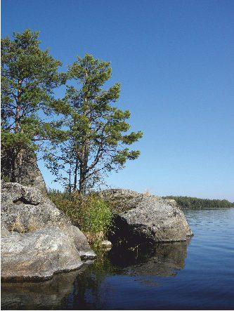 Auringon säteily on Suomessa vuositasolla lähes yhtä suurta kuin