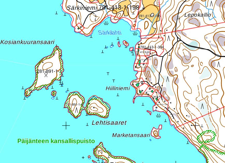 Tunnistetiedot Kaavan nimi: Hiiliniemen ja Ruissaarten ranta-asemakaavan muutos Kunta: Sysmä (781) Tilat: Hiiliniemi 781-413-1-298, Hiiliranta 781-413-1-300 ja osa tilasta Tuomaala 781-413-1-222