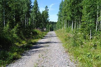Luontoselvityksessä, joka on osa kaava-aineistoa, on kuvattu alueen luonto-olosuhteita ja luontoarvoja kuvioittain yksityiskohtaisesti.