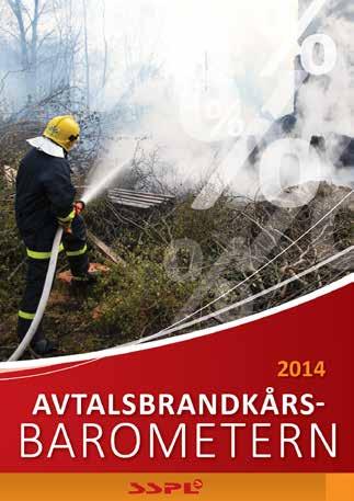 En hop räddningsdirektörer argumenterar kraftigt för det nuvarande systemet och motsätter sig en starkare statlig styrning.