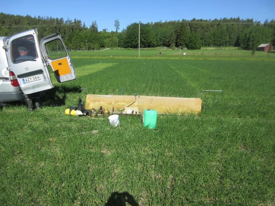 Ammoniumsulfaatti AMS Lisälannoituksen ammoniumsulfaatilla voi tehdä rikkakasvien torjuntavaiheessa