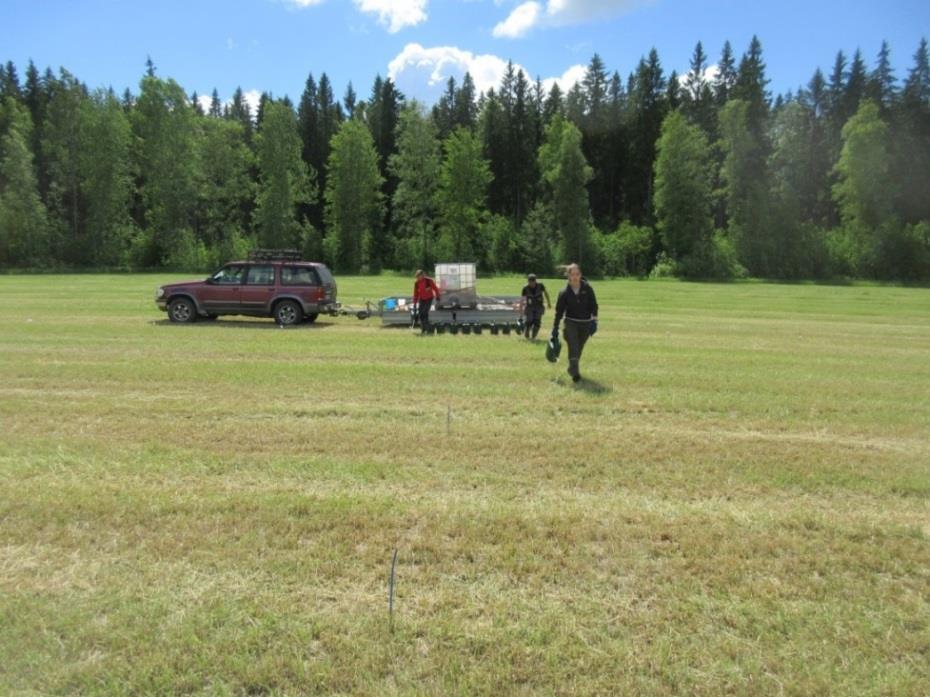 Typpivesi Pintaan levitetyn