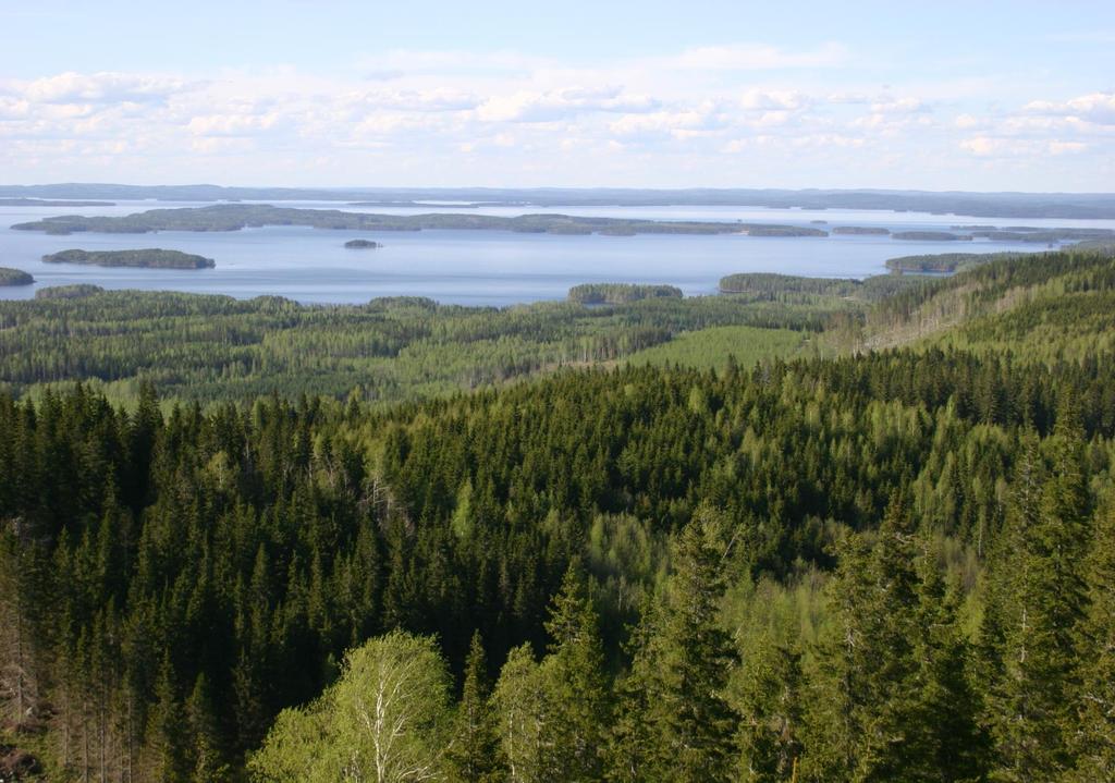 Metsäorganisaatiot muutoksessa Tulevaisuuden edellytysten