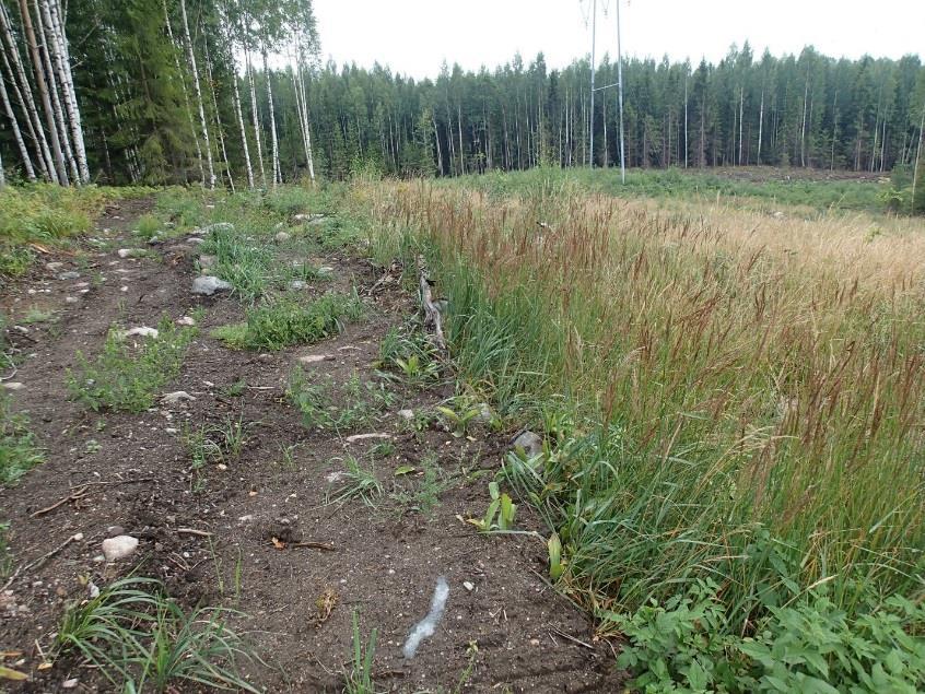 7 Alueen maasto on kallioista, havuvoittoista metsää, jonka maaperä on pääasiassa suurikivistä moreenia. Alueella kulkee endurorata, ja siellä esiintyy myös paljon työkoneiden ajouria.