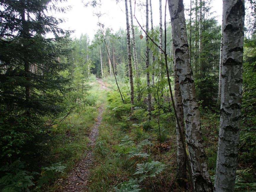 ) Kohdalle tehtiin useita koepistoja, mutta mitään muinaisjäännökseen viittaavaa ei niissä havaittu.