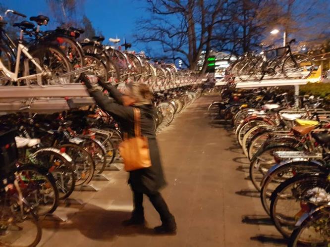 Riksa: vanhukset Pyöräilynohjaajat Pyörä/kävelykummit