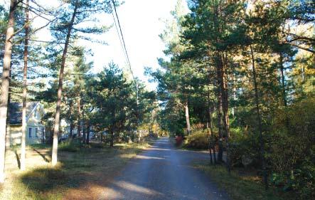 3 Lähtökohdat 3.1 Alueen yleiskuvaus Suunni elualue sijaitsee Täktomin kylässä n. 4 km Hangon keskustasta.