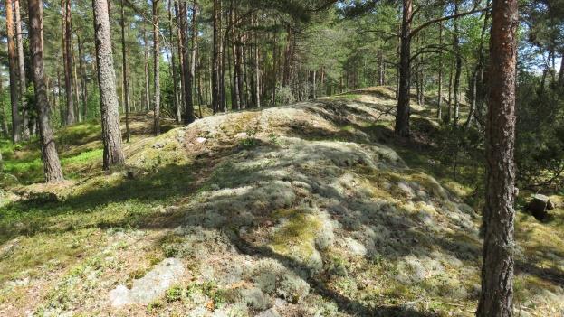 Katajat muodostavat monia kookkaita ryhmiä, joiden lomassa etelärinteessä on myös useita siirtolohkareita. Niiden alle on muodostunut myös koloja ja onkaloita.