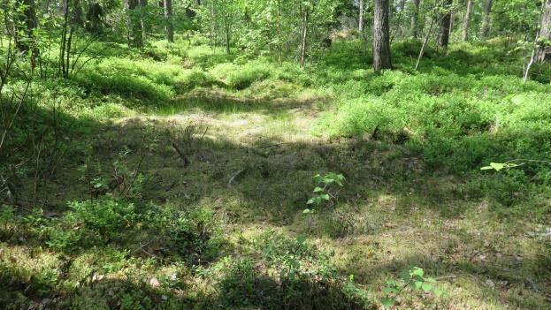 Kallion luonnontilan säilyttäminen lisää paitsi alueen monimuotoisuutta, mutta mahdollistaa kallioalueen käyttöä myös virkistysalueena. Kalliolla ja sen reunoilla on harva polkuverkosto.