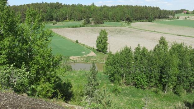 Sammallajiston pohjakerroksessa muodostavat yleiset seinä-, kynsi- ja metsäkerrossammalet. Rahka- ja karhunsammalet peittävät lähinnä kahta soistunutta aluetta.