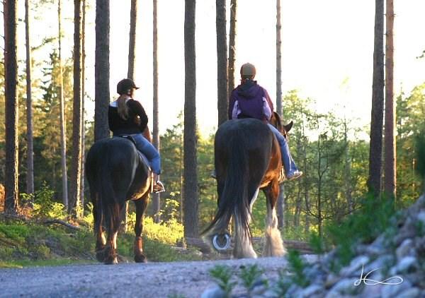 Sida 2 KAAVOITUSKATSAUS 2018 Kemiönsaaren saaristo on jaettu neljään eri rantayleis ja rantaosayleiskaavaan. Dragsfjärdin itäisen saariston rantaosayleiskaavan päivitys on viittä vailla valmis.