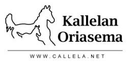 15:35 Callela / Beer Summit 8lila - valk Tasoitusajo lämminverisille 2140 m p. 35.000 e, p.t. 20 m. Palkinnot e 800-400-240-160. Voittajahevoselle ruusuke ja loimi.