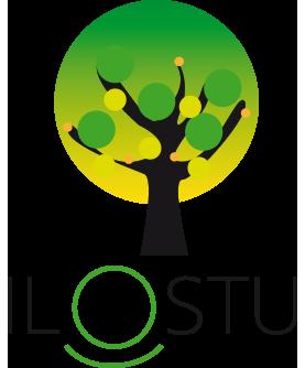 ILOSTU OY