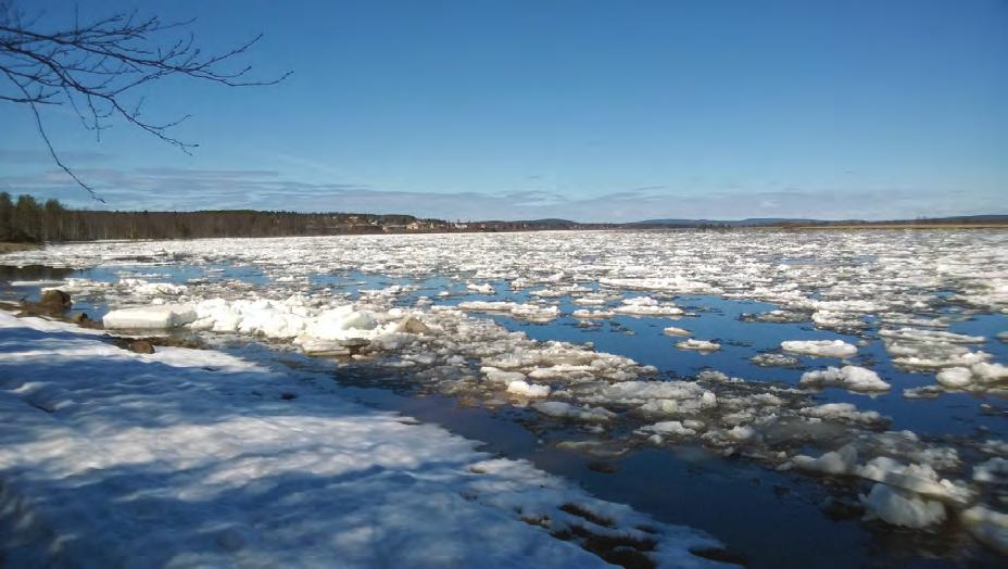 Hyväksytty 31.
