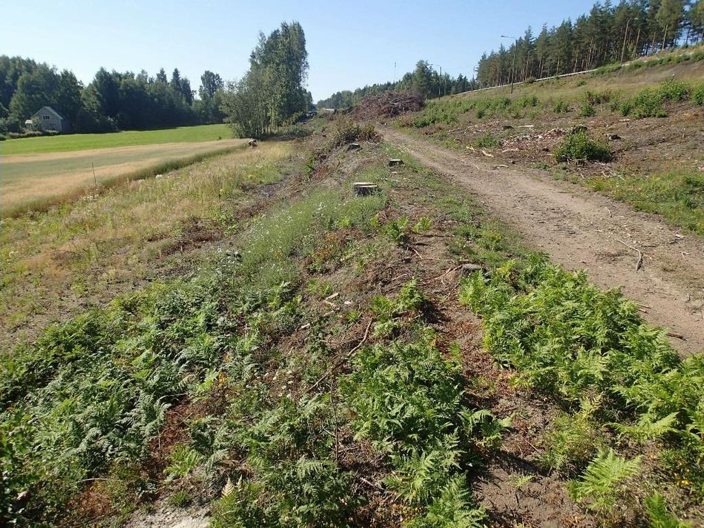 1 LUUMÄKI Ontela