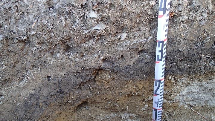 Koekuopassa 26 oli ylinnä havaittavissa 15 cm humusta soransekaista hiekkaa, jonka alapuolella raekooltaan vastaava kerros, paksuus 13 cm, mutta väriltään edellistä tummempi.