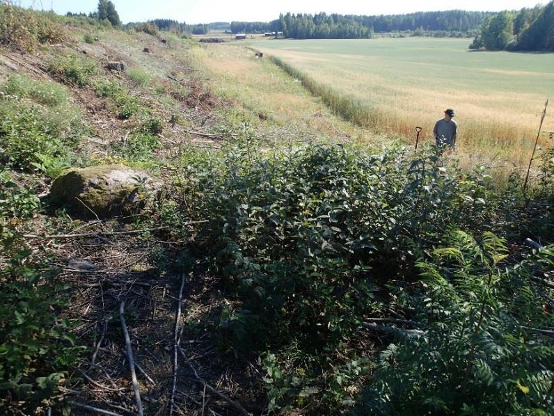 Tutkimusalueen itäosassa nykyisen valtatien eteläpuolella oleva vanha tie (nykyinen peltotie) on pengerretty noin neljä metriä leveäksi ja eteläreunaltaan 2,5 metriä korkeaksi.