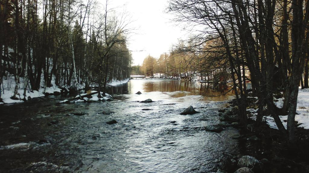 Jos vapautettava kala halutaan punnita, on parasta käyttää kalan punnitsemiseen tarkoitettua punnituspussia.