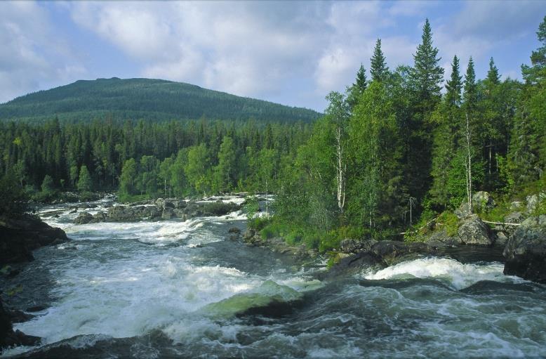 Osaamisen kehittäminen molemmin