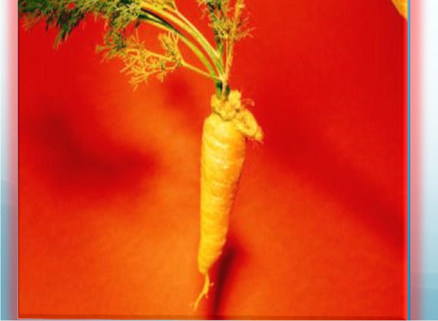 tietoperäinen - keppi tai porkkana ( Rakas sinusta on
