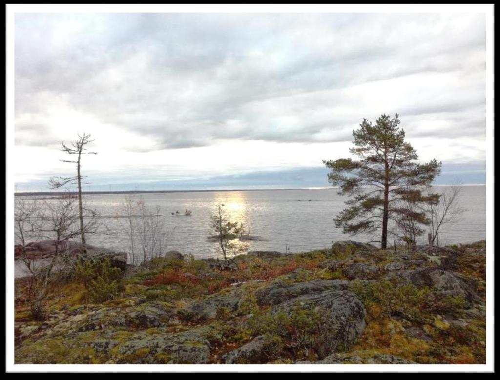 Kiitos!