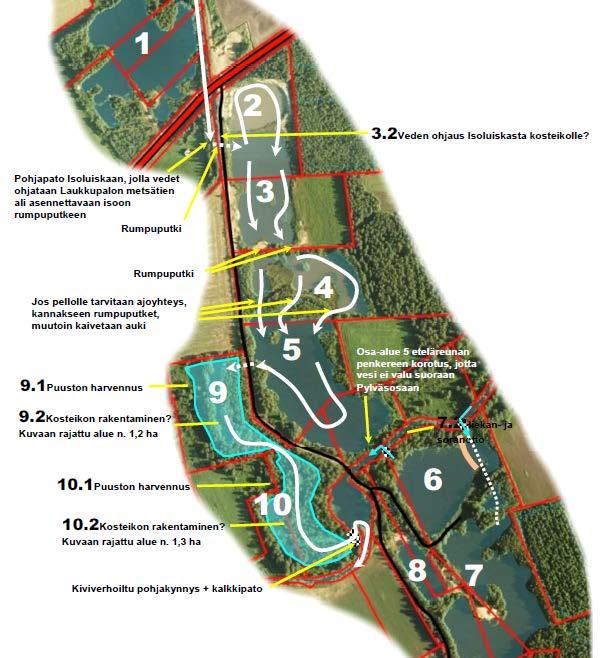 Laukkupalon kosteikkoalue Alustava suunnitelma tehty aik.