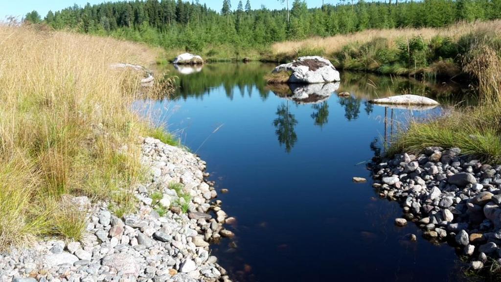 14 Laskeutusallas (Petra Korkiakoski 2017) Vantaanjokeen laskevan kapeahkon puron ylävirrassa olevassa laskeutusaltaassa (koko 10x8m ja keskisyvyys n.