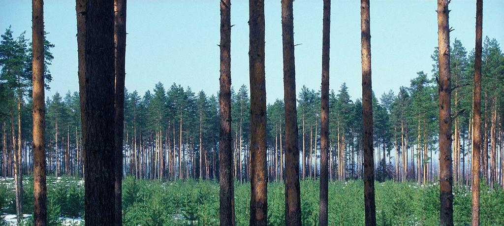 Kannattava laatukasvatus asiakaslähtöisesti Jari Hynynen & Erkki Verkasalo