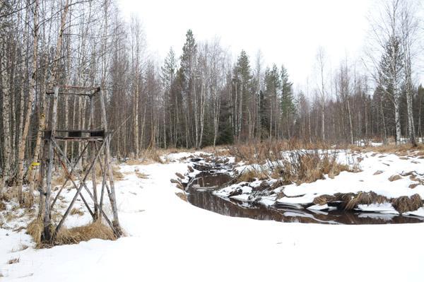 varrelta ja suolammelta