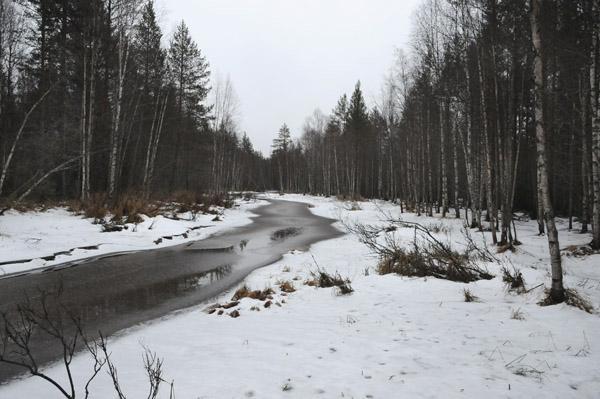 Metsästystorni Viitajoen varrella.