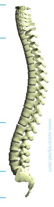 Ei sitä ooo koskaan tutkittu M54 Dorsalgia Satunnaiset ja lievät selkävaivat motivaation mukaan A- tai B-luokkaan E-luokka fysioterapiaa varten on harvoin oikea ratkaisu Lannerangan röntgenkuva