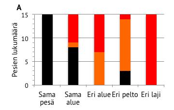 Kun määrittelin Särkkilenin alueet uudelleen siten, että jaoin selvimmän maantieteellisen eron (Kuvan 3 B:n alueet I ja II vs.