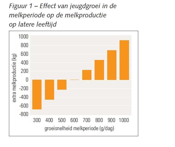 Nuorkarja Tärkeää: kulut Vielä tärkeämpää: hyvä kasvu ja terveys 1 gr enemmän kasvua / pv maitojauhekaudella=. Extra kg maitoa Mitkä ovat tuloksemme? - Graft dry cows and calves?