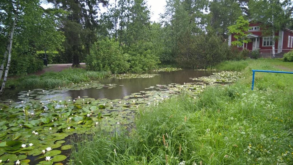 7 Kuva 6. Kinnarinlampi lounaasta koilliseen kuvattuna 20.6.2017.