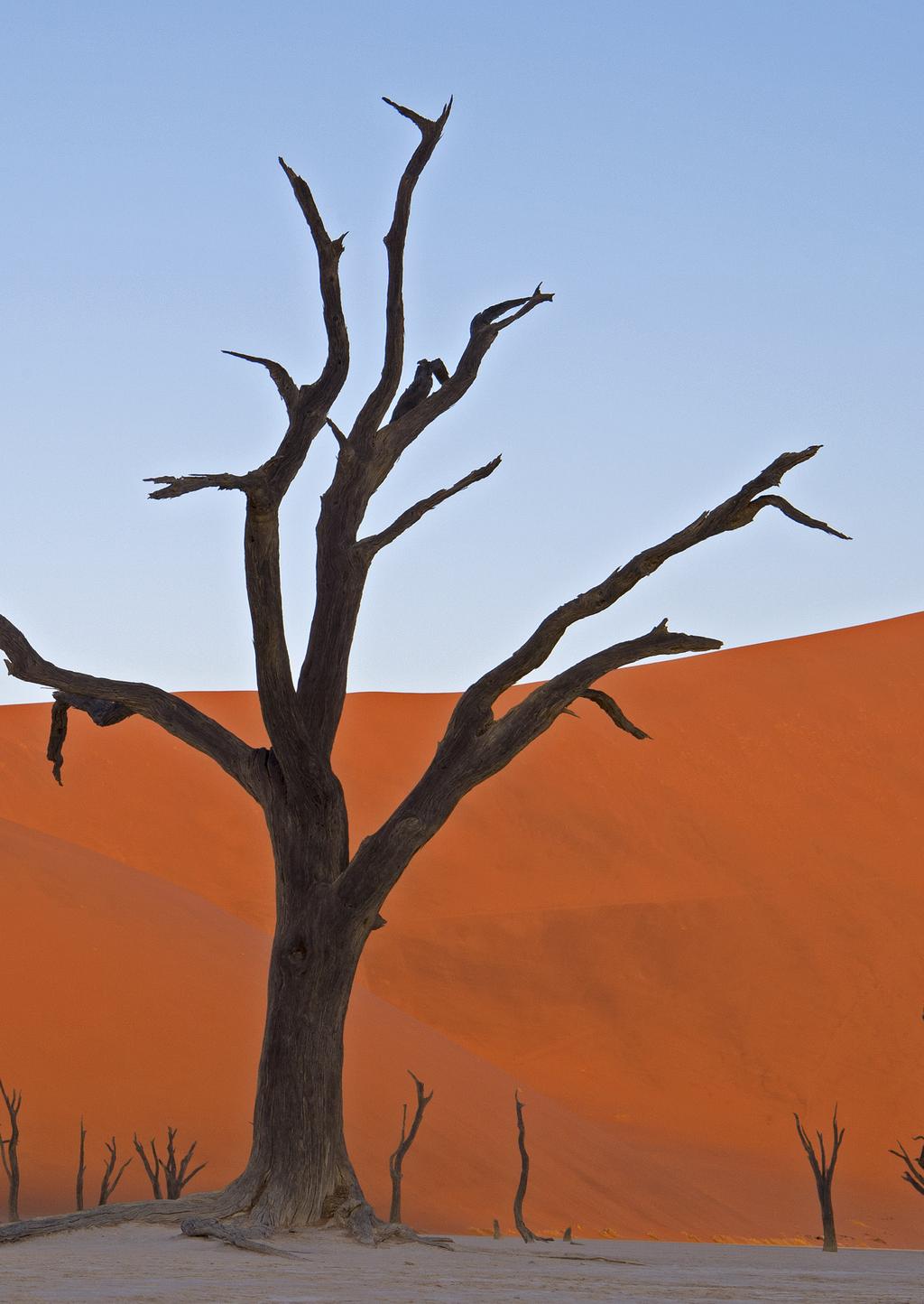 NAMIBIAN