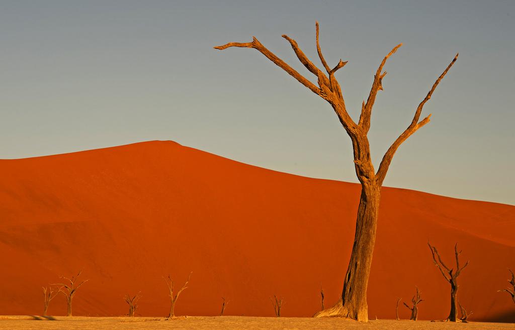 Suomen Kuvausmatkat oy NAMIBIAN KIERTOMATKA 2018 Aika: Pe 14.9. - Ti 2.10.2018 Kesto: 19 pv Ryhmäkoko: 10+1 henkilöä Hinta: 7 690 eur* Kohdemaat: Namibia * Sis.