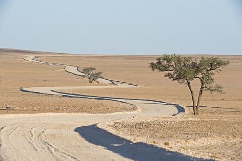 2018 Sossusvelei - Swakopmund, Walvis Bay (A, L) Aamulla teemme vielä lisäretken Sossusvelein hiekkadyyneille ennen kuin valmistaudumme matkalle kohti Atlantin rannikkoa.