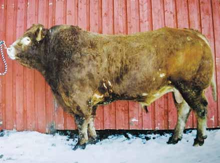 Paljon on jo kasvattajauransa taakseen jättäneitä konkareita ja muille toimialoille ja tuotantosuuntiin muuttaneita viljelijöitä ja yrittäjiä.